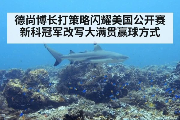 德尚博长打策略闪耀美国公开赛 新科冠军改写大满贯赢球方式